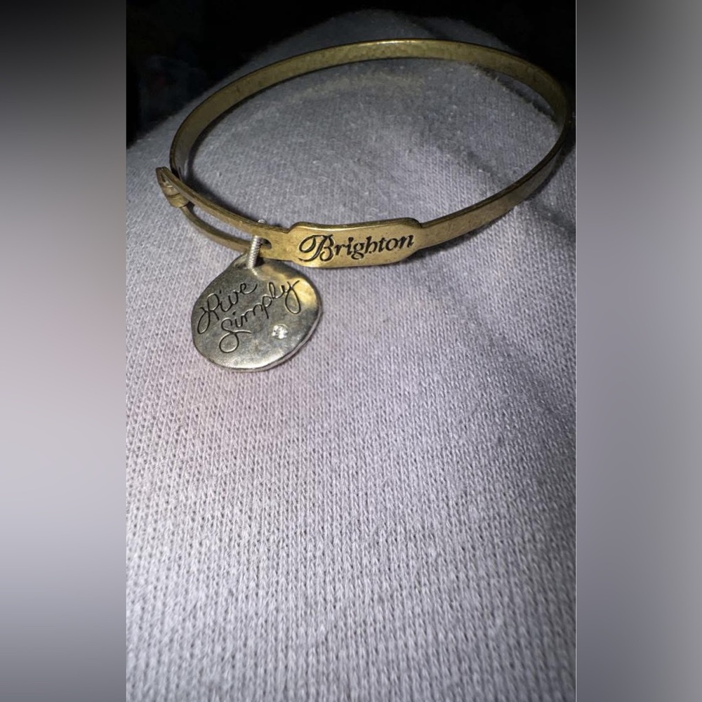Alex and Ani Gold Bracelet with Silver Charm live simply